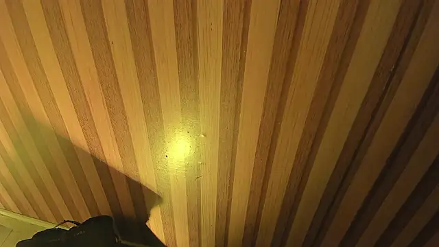 mia  blaze   online show from 03/30/26, 02:57