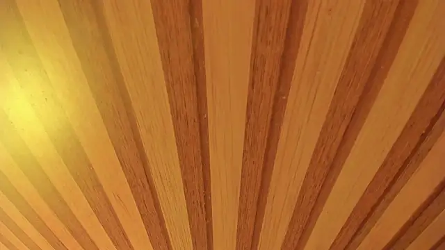 mia  blaze   online show from 01/13/26, 02:59