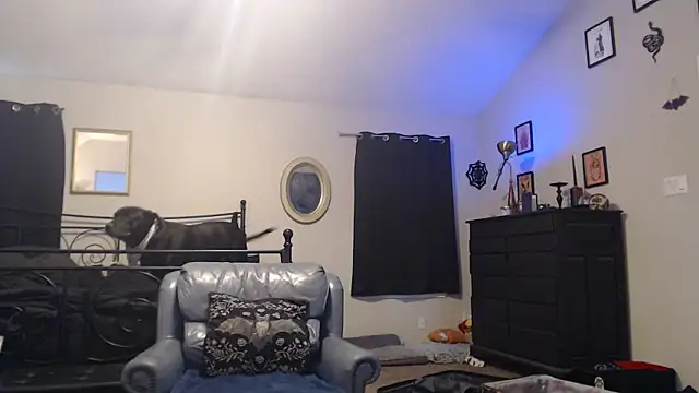 ImKatMeow online show from 02/16/26, 06:50