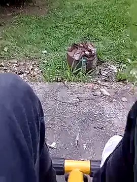 roludao fun online show from 02/20/26, 09:17