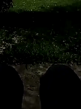 roludao fun online show from 11/10/25, 10:48