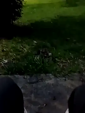 roludao fun online show from 01/09/26, 10:17