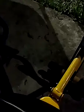 roludao fun online show from 11/11/25, 10:58