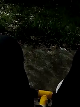 roludao fun online show from 11/27/25, 12:00