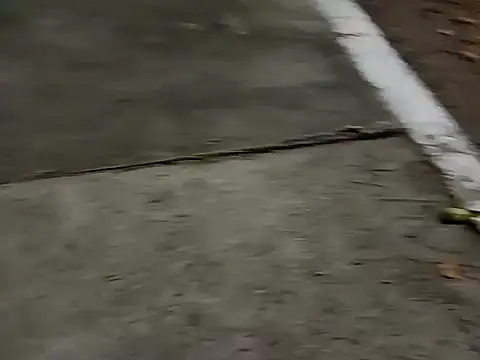 roludao fun online show from 12/04/25, 10:09