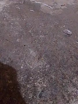 Orlao25cm online show from 11/16/25, 04:39