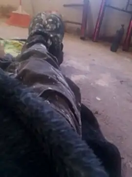 Orlao25cm online show from 11/08/25, 01:58