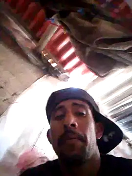 Orlao25cm online show from 10/20/25, 08:20