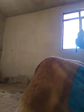 Orlao25cm online show from 11/09/25, 01:59