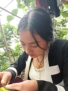 Sinhlinh2020 online show from 11/04/25, 08:51