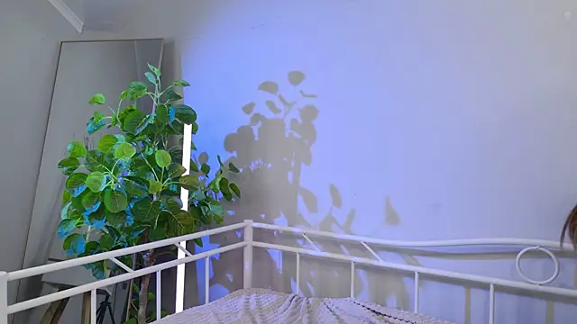 Sia See you online show from 10/26/25, 09:48