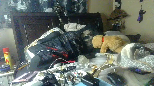 Snapshot of bigdaddyrooster chatting on 01/14/26, 06:28 bigdaddyrooster online show from 01/14/26, 06:28