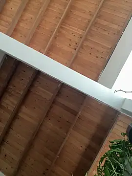 valeriahornier online show from 03/29/26, 09:16