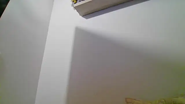 valeriahornier online show from 07/16/26, 11:46