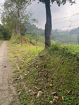 motomotoboy online show from 03/05/26, 06:48