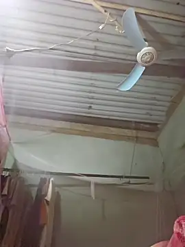 Squirrel-Pear online show from 11/19/25, 02:39