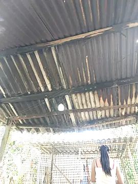 Squirrel-Pear online show from 11/20/25, 03:51