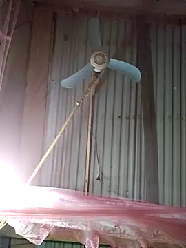 Squirrel-Pear online show from 12/04/25, 12:26