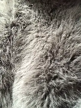 Kylie beem online show from 02/10/26, 03:27