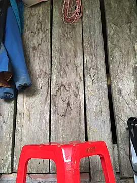 Kylie beem online show from 03/15/26, 06:20