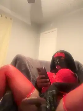 Owlpow online show from 11/27/25, 08:04