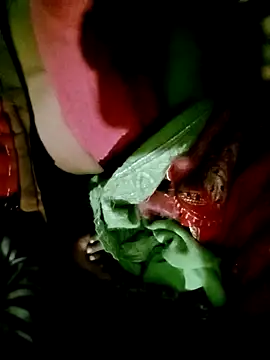 Hot cauple indian online show from 12/01/25, 03:57