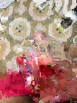 Anaconda Negra20 online show from 01/10/26, 09:37