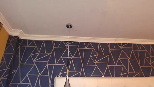 SantiOlsen online show from 11/29/25, 03:12