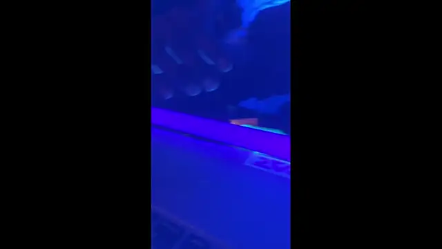 misterincred online show from 11/30/25, 06:03