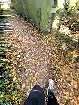 bbyxklaus online show from 11/02/25, 12:21