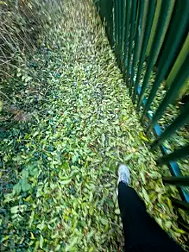 bbyxklaus online show from 10/31/25, 03:19