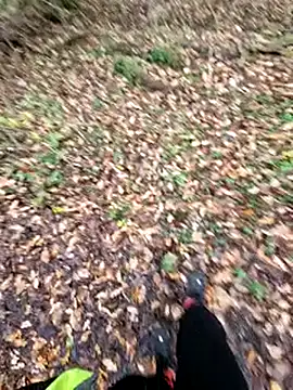 bbyxklaus online show from 12/16/25, 02:10