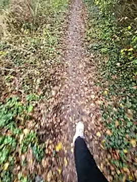 bbyxklaus online show from 11/15/25, 11:25