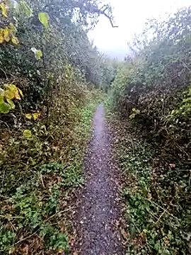 bbyxklaus online show from 10/20/25, 11:44