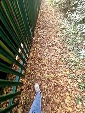 bbyxklaus online show from 11/04/25, 10:30