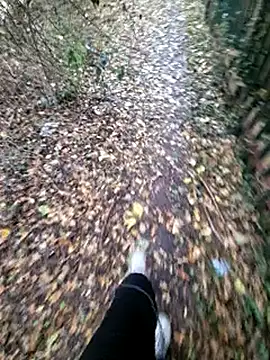 bbyxklaus online show from 11/06/25, 12:31