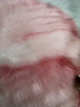 Sph9mm online show from 10/30/25, 03:20