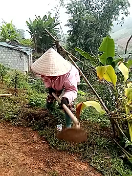 Fish yellow online show from 12/17/25, 02:05