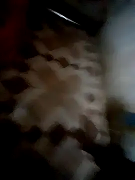 bindasbruno online show from 11/01/25, 08:19