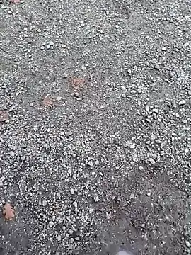 Snapshot of Imyourguy2025 chatting on 11/01/25, 02:11 Imyourguy2025 online show from 11/01/25, 02:11