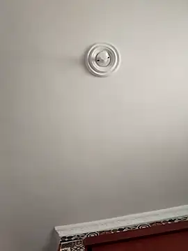 sophiasleepy1 online show from 11/14/25, 07:28