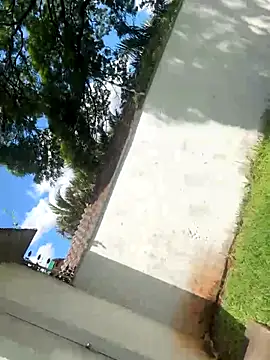 wellingtonmds online show from 10/19/25, 04:32