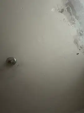 wellingtonmds online show from 11/01/25, 01:12