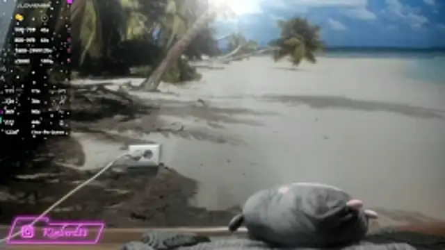 Snapshot of kimberd33 chatting on 02/26/26, 03:12 kimberd33 online show from 02/26/26, 03:12