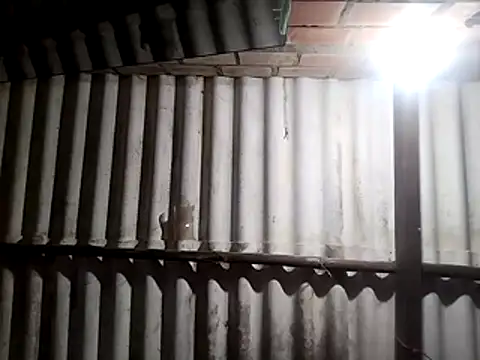 AfroditaSweetxh online show from 01/10/26, 10:32