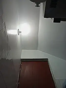 celeste 83 online show from 10/27/25, 04:19