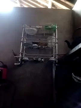 kokoto-59 online show from 02/28/26, 06:46