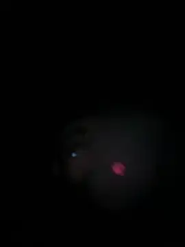 Paapii1098 online show from 03/15/26, 08:05