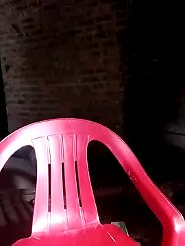 Bear bear0 online show from 11/03/25, 10:46