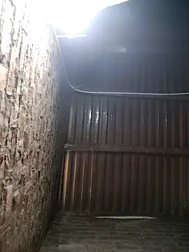 Bear bear0 online show from 01/12/26, 12:39